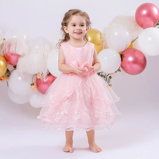 Pink Princess Dress for Girls 3D Embroidery Tulle Skirt