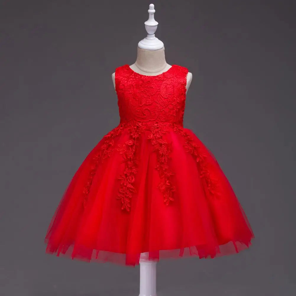 White Lace Embroidered Princess Dress for Girls